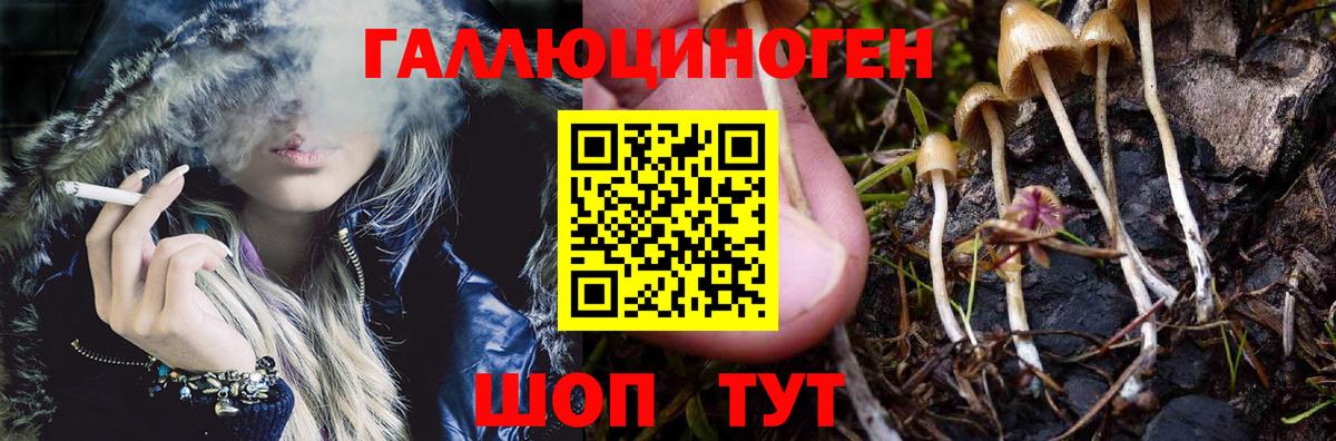 Галлюциногенные грибы Psilocybe Спасск-Дальний